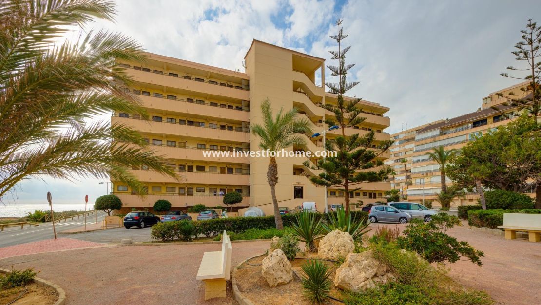 Verkoop - Appartement - Torrevieja - Cabo Cervera