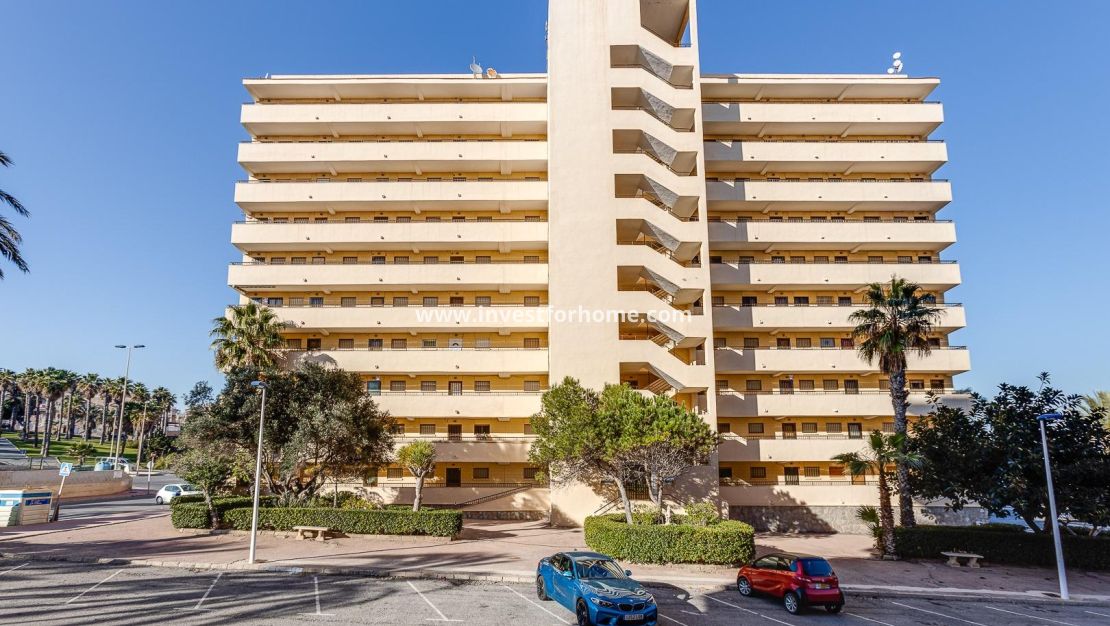 Verkoop - Appartement - Torrevieja - Cabo Cervera