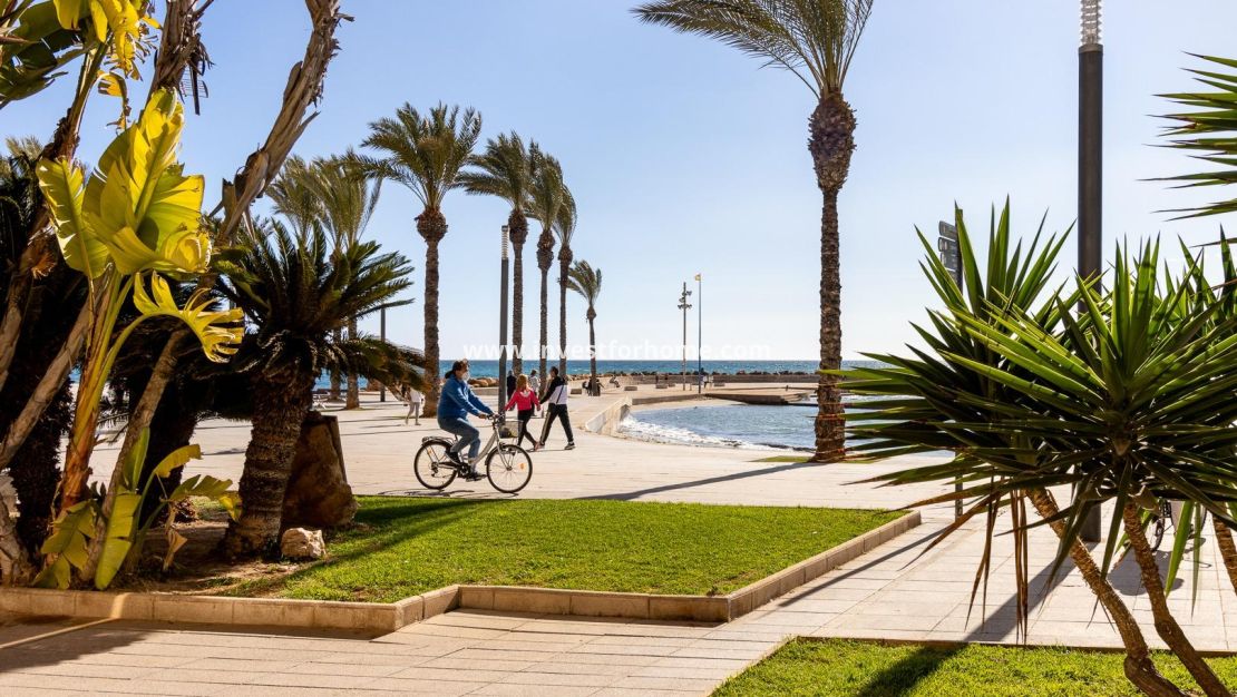 Verkoop - Appartement - Torrevieja - Centro