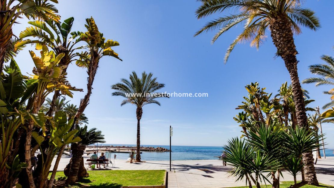 Verkoop - Appartement - Torrevieja - Centro