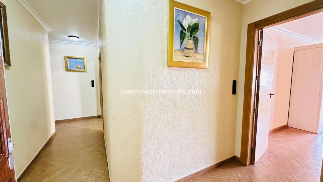 Verkoop - Appartement - Torrevieja - Centro