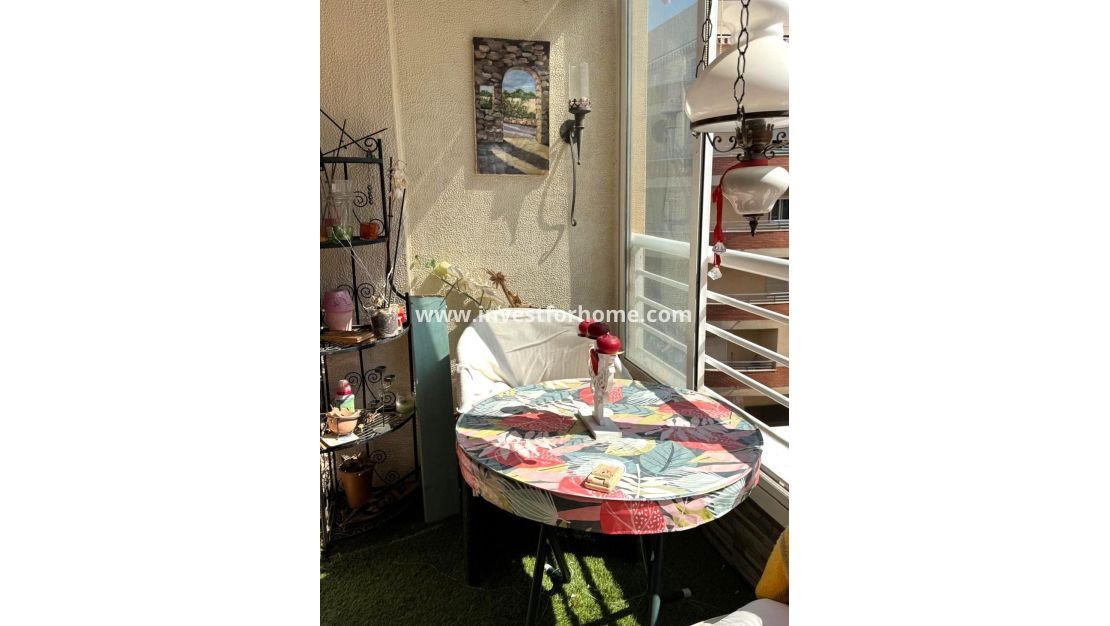 Verkoop - Appartement - Torrevieja - Centro