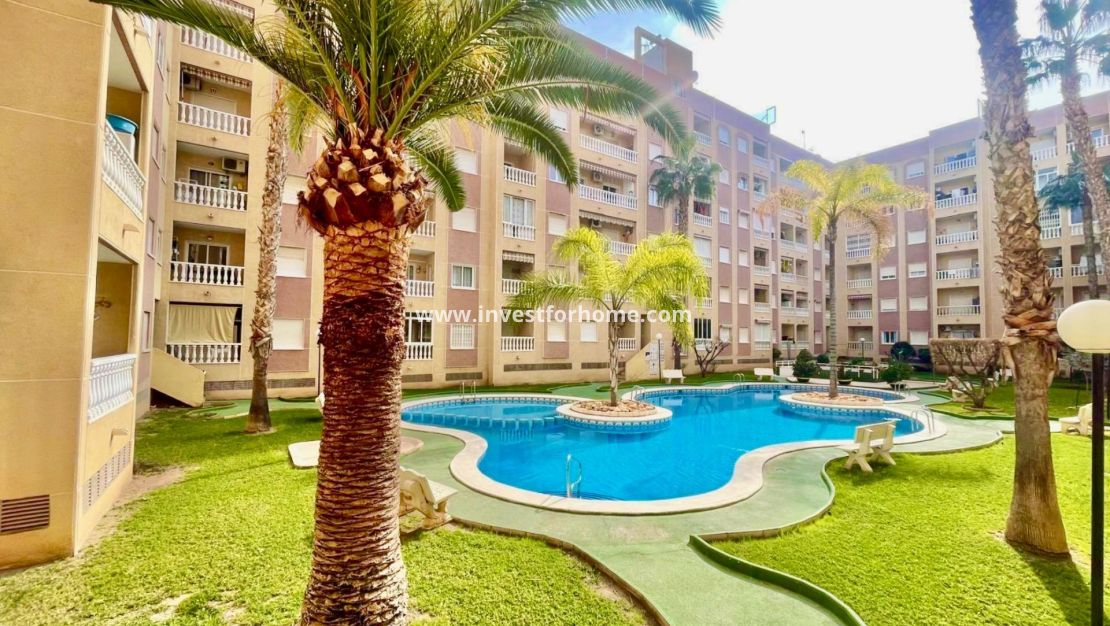 Verkoop - Appartement - Torrevieja - Centro