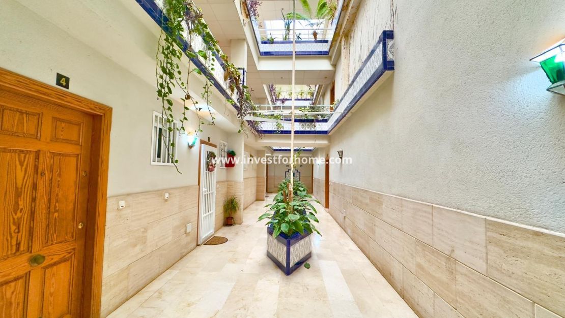 Verkoop - Appartement - Torrevieja - Centro