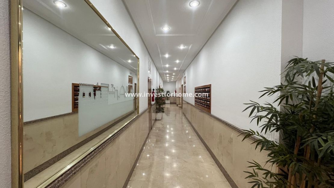 Verkoop - Appartement - Torrevieja - Centro