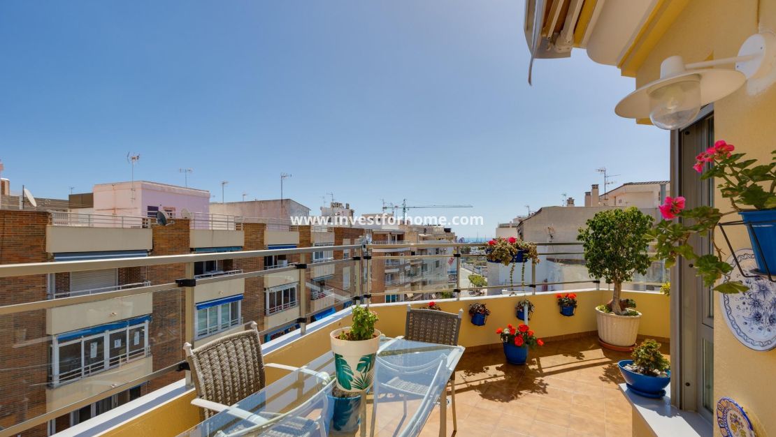 Verkoop - Appartement - Torrevieja - Centro
