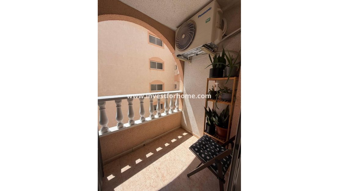 Verkoop - Appartement - Torrevieja - Centro