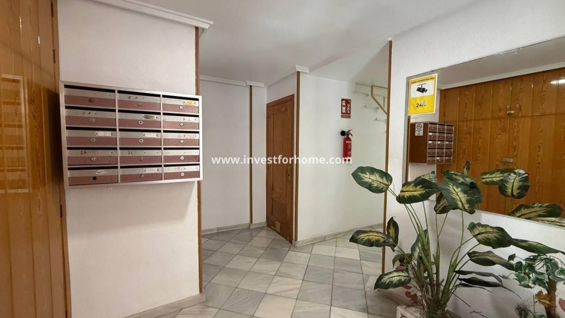 Verkoop - Appartement - Torrevieja - Centro