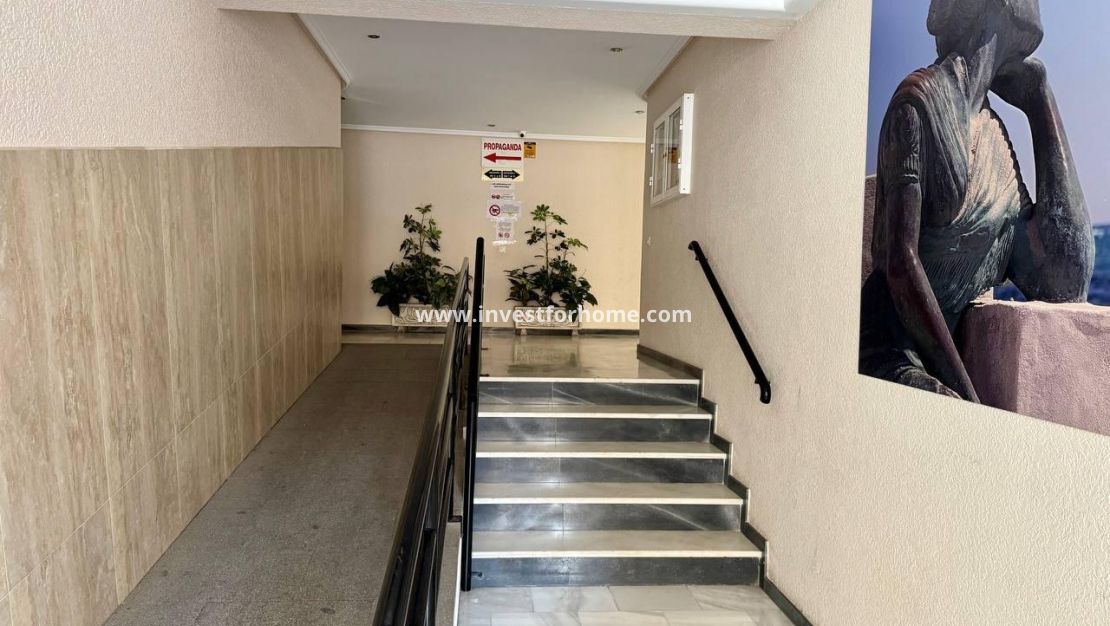 Verkoop - Appartement - Torrevieja - Centro