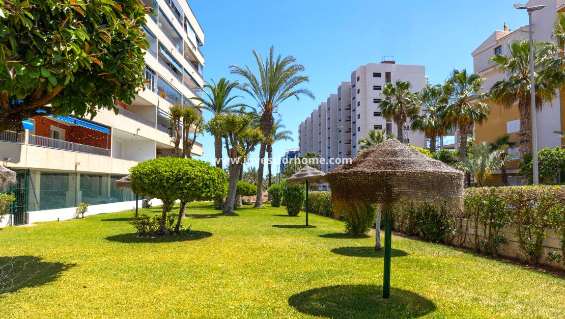 Verkoop - Appartement - Torrevieja - Costa Blanca