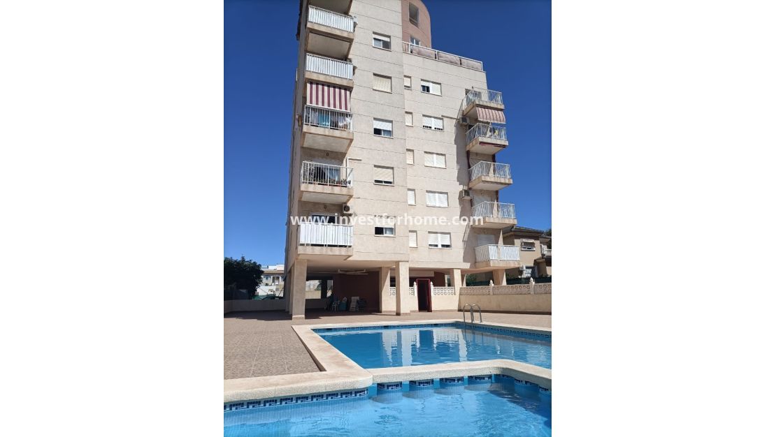 Verkoop - Appartement - Torrevieja - Costa Blanca