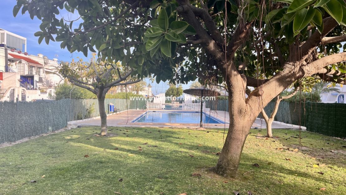 Verkoop - Appartement - Torrevieja - Costa Blanca