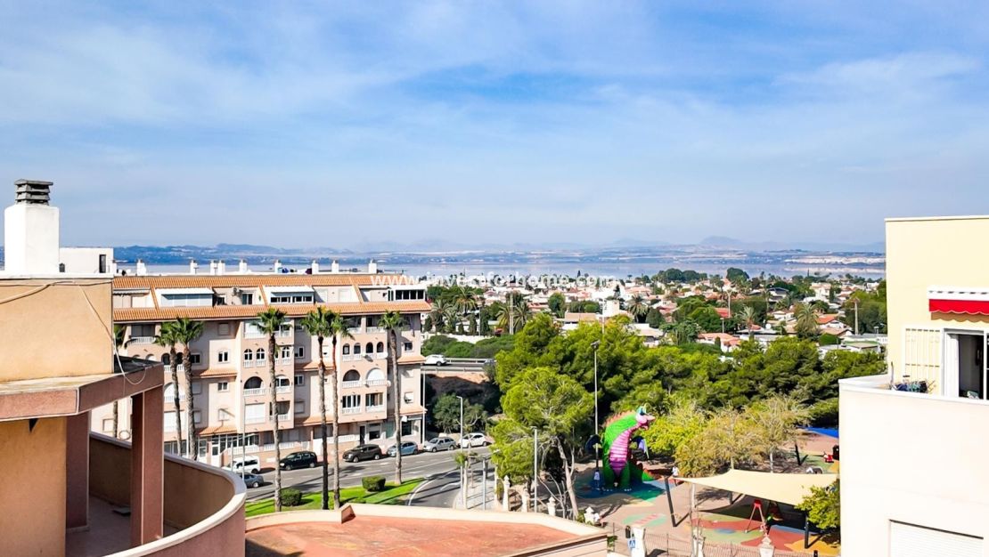 Verkoop - Appartement - Torrevieja - Costa Blanca