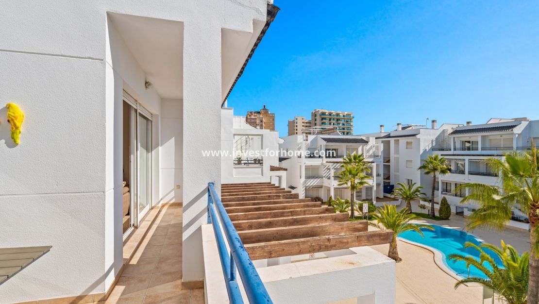 Verkoop - Appartement - Torrevieja - Costa Blanca