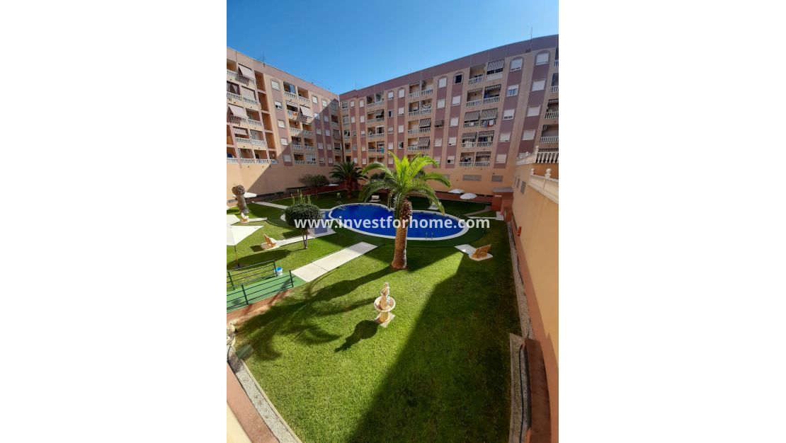Verkoop - Appartement - Torrevieja - Costa Blanca