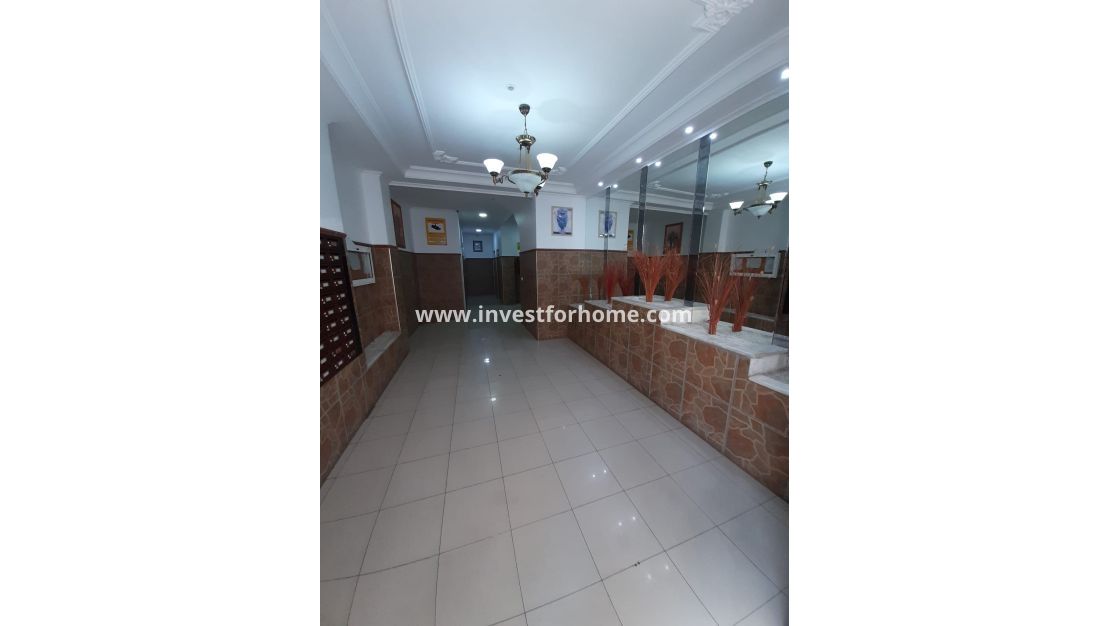 Verkoop - Appartement - Torrevieja - Costa Blanca