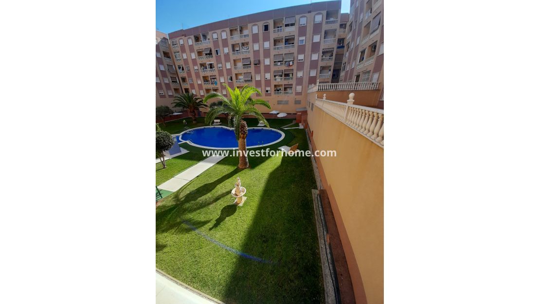 Verkoop - Appartement - Torrevieja - Costa Blanca