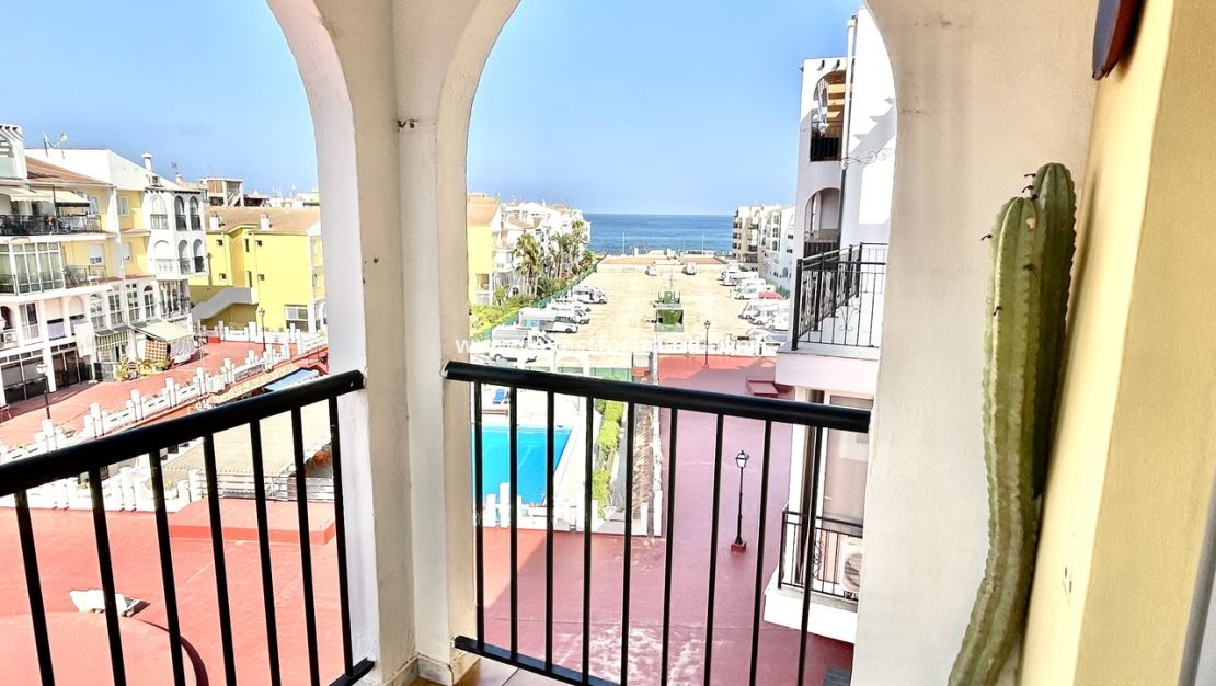 Verkoop - Appartement - Torrevieja - Costa Blanca