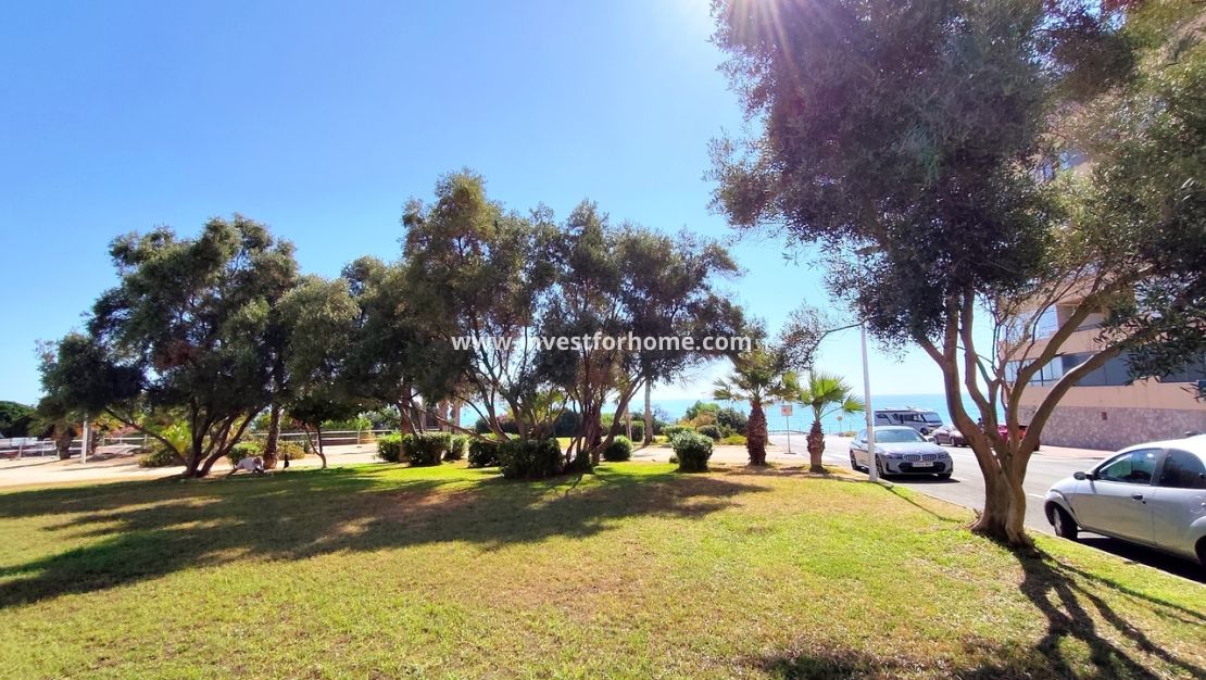 Verkoop - Appartement - Torrevieja - Costa Blanca