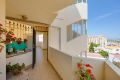 Verkoop - Appartement - Torrevieja - Costa Blanca