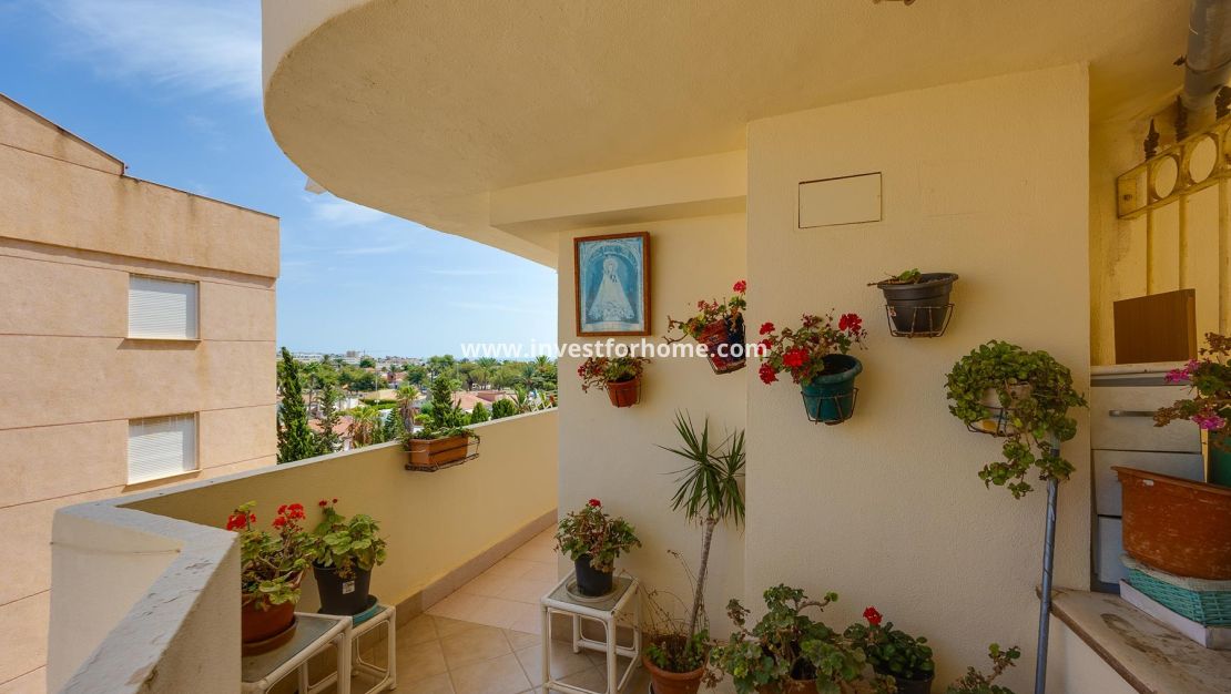 Verkoop - Appartement - Torrevieja - Costa Blanca