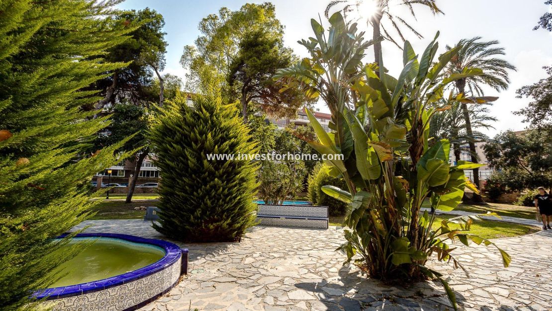 Verkoop - Appartement - Torrevieja - El Acequión - Los Náufragos