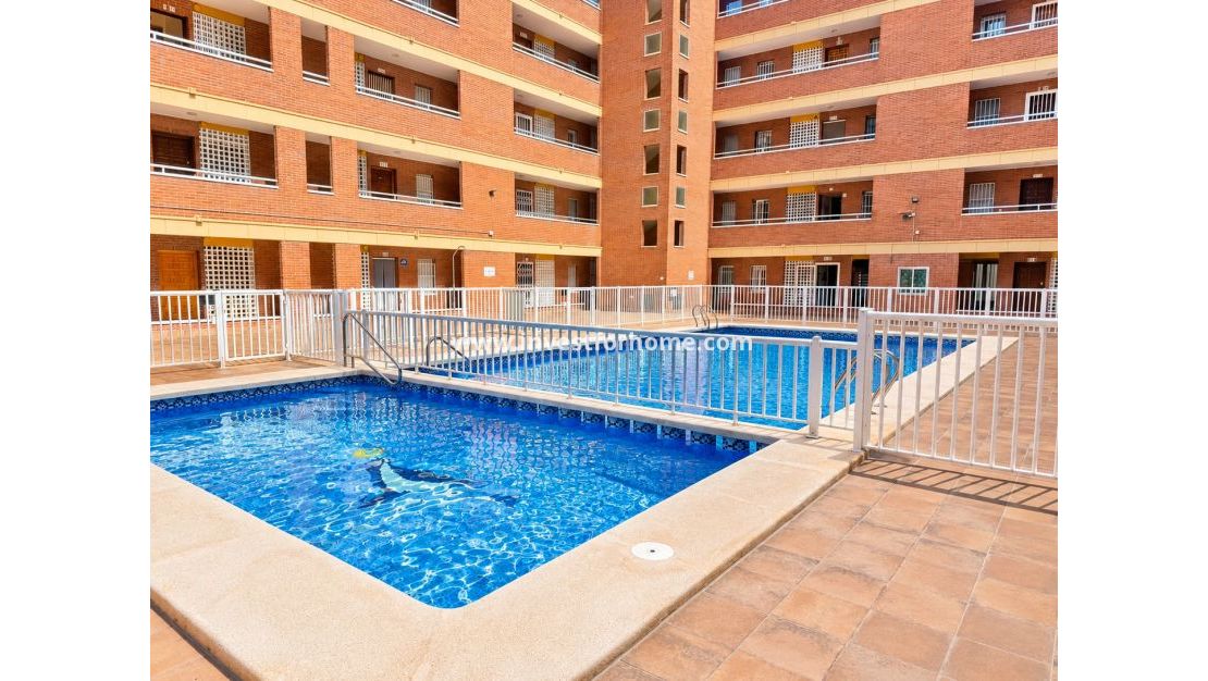 Verkoop - Appartement - Torrevieja - El Acequión - Los Náufragos