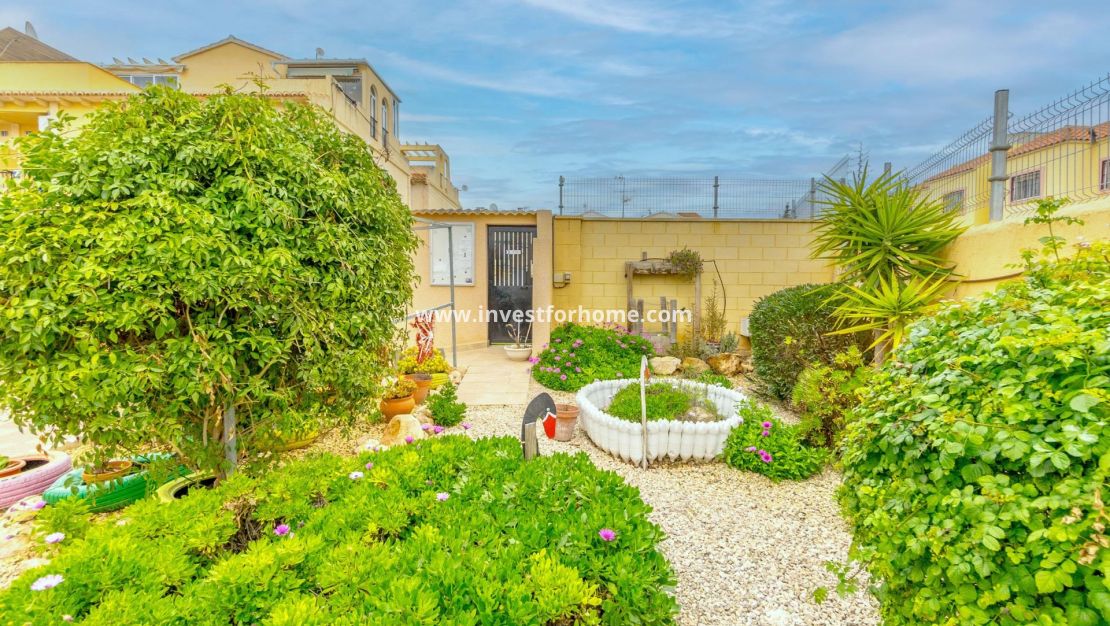 Verkoop - Appartement - Torrevieja - El Chaparral