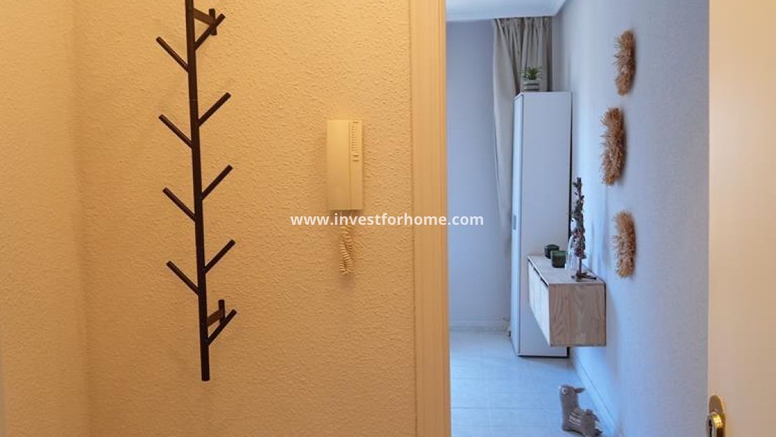 Verkoop - Appartement - Torrevieja - El Molino
