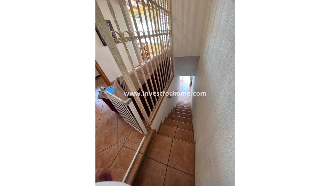 Verkoop - Appartement - Torrevieja - Eliseos Playa