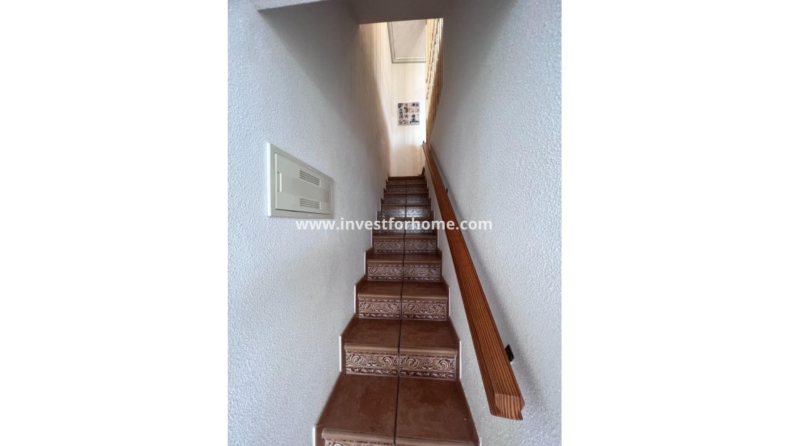 Verkoop - Appartement - Torrevieja - Eliseos Playa