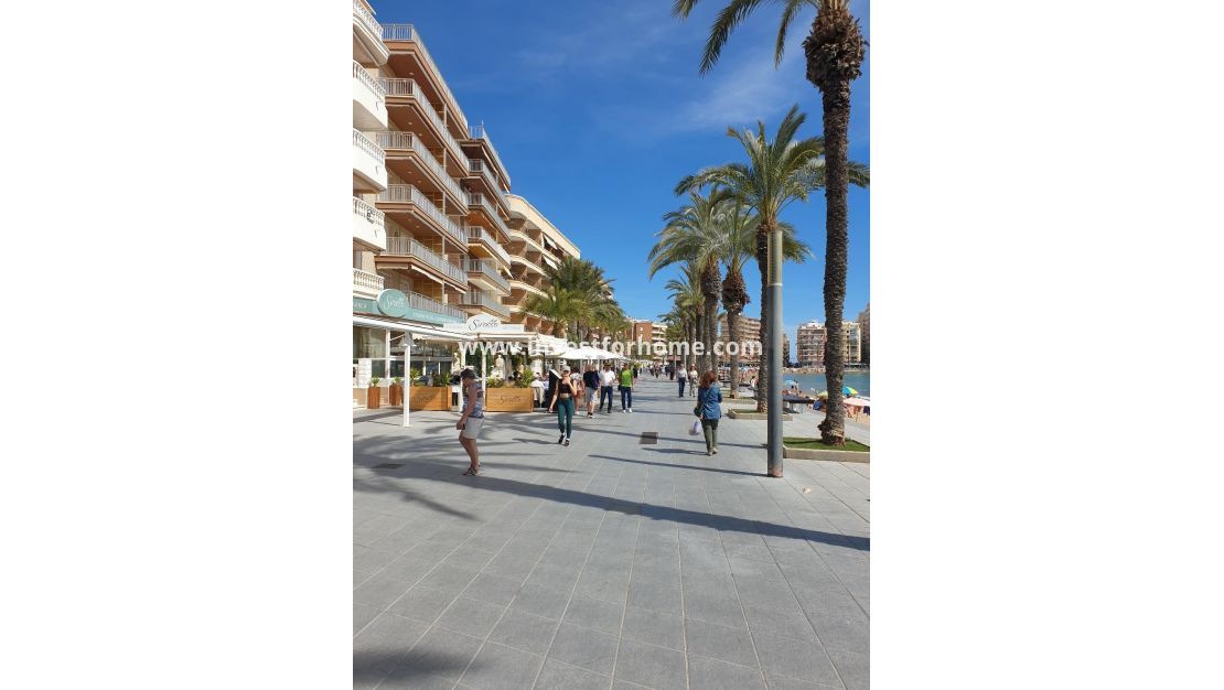 Verkoop - Appartement - Torrevieja - Estacion De Autobuses