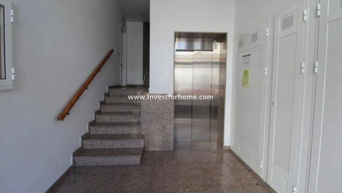 Verkoop - Appartement - Torrevieja - Estacion De Autobuses