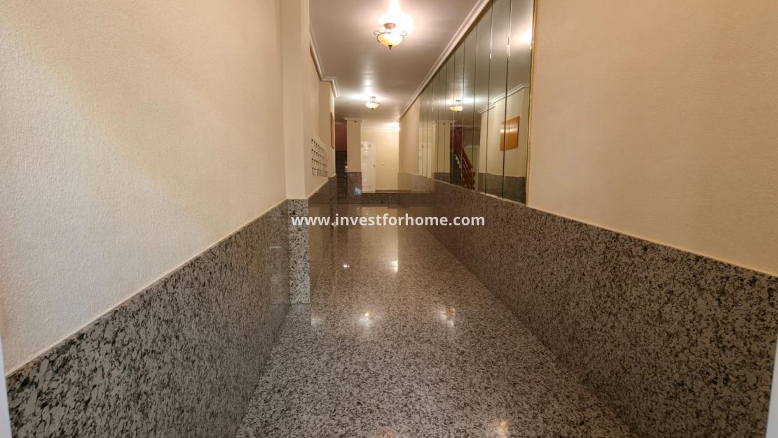 Verkoop - Appartement - Torrevieja - Estacion De Autobuses