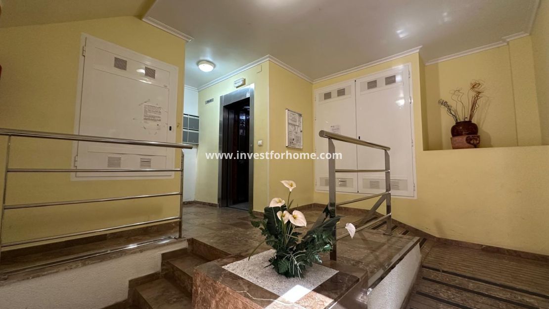 Verkoop - Appartement - Torrevieja - Estacion De Autobuses