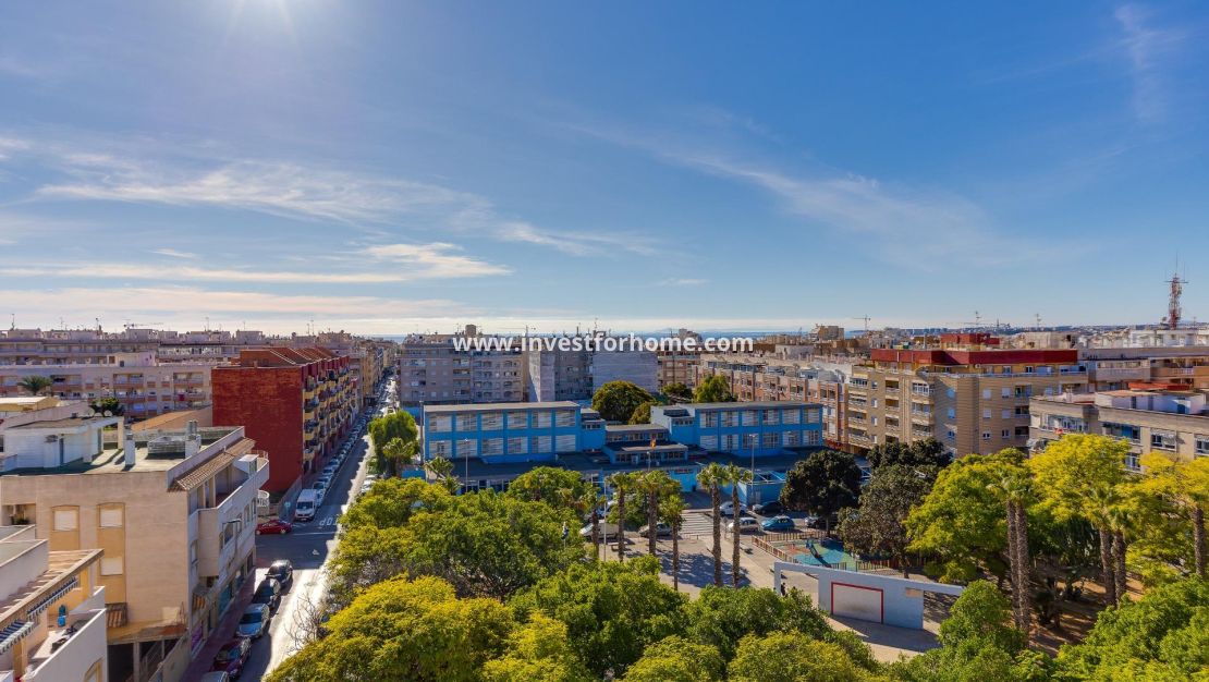 Verkoop - Appartement - Torrevieja - Estacion De Autobuses