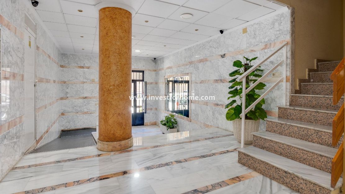 Verkoop - Appartement - Torrevieja - Estacion De Autobuses