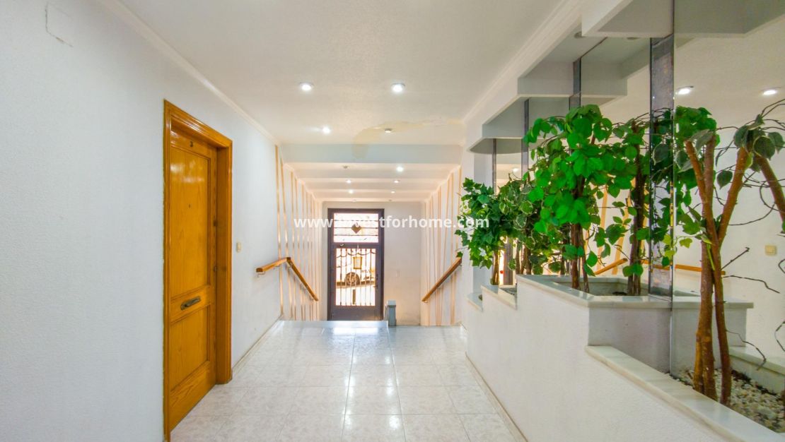 Verkoop - Appartement - Torrevieja - Estacion De Autobuses