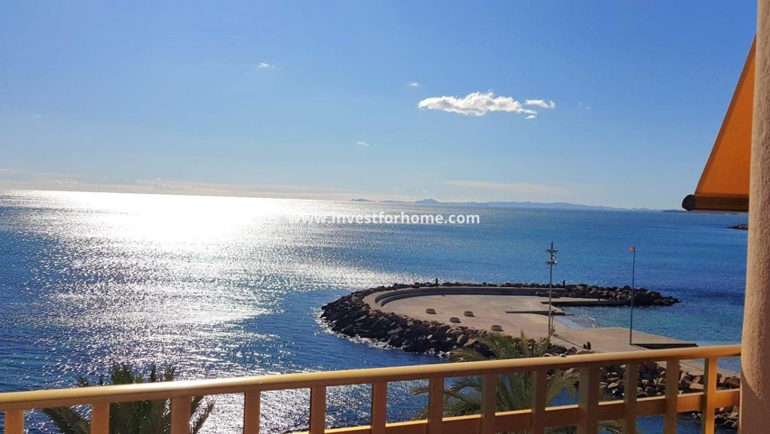 Verkoop - Appartement - Torrevieja - Estacion De Autobuses
