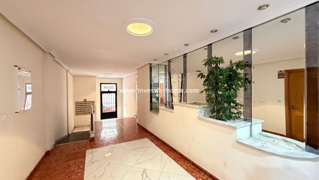Verkoop - Appartement - Torrevieja - Estacion De Autobuses