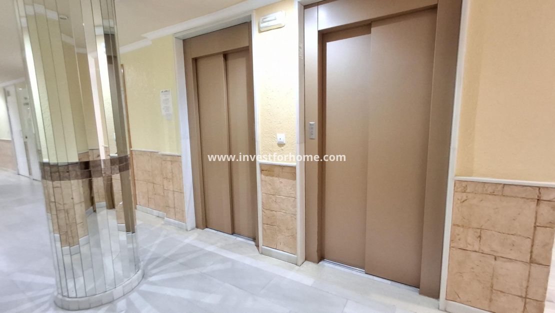 Verkoop - Appartement - Torrevieja - Estacion De Autobuses