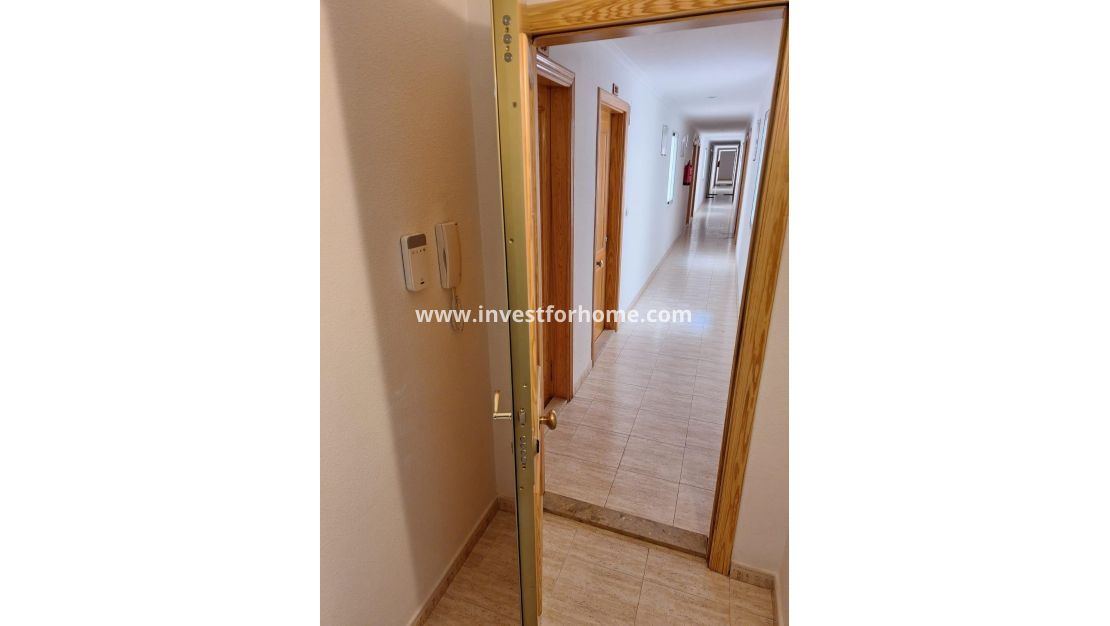 Verkoop - Appartement - Torrevieja - Estacion De Autobuses