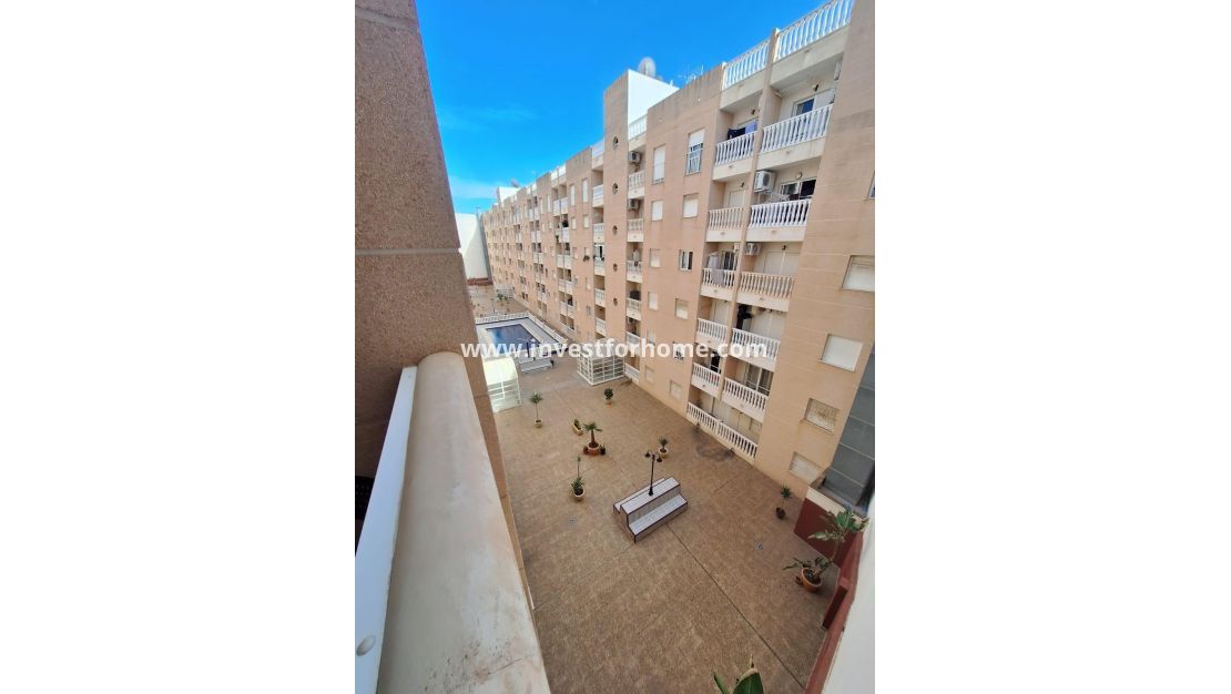 Verkoop - Appartement - Torrevieja - Estacion De Autobuses