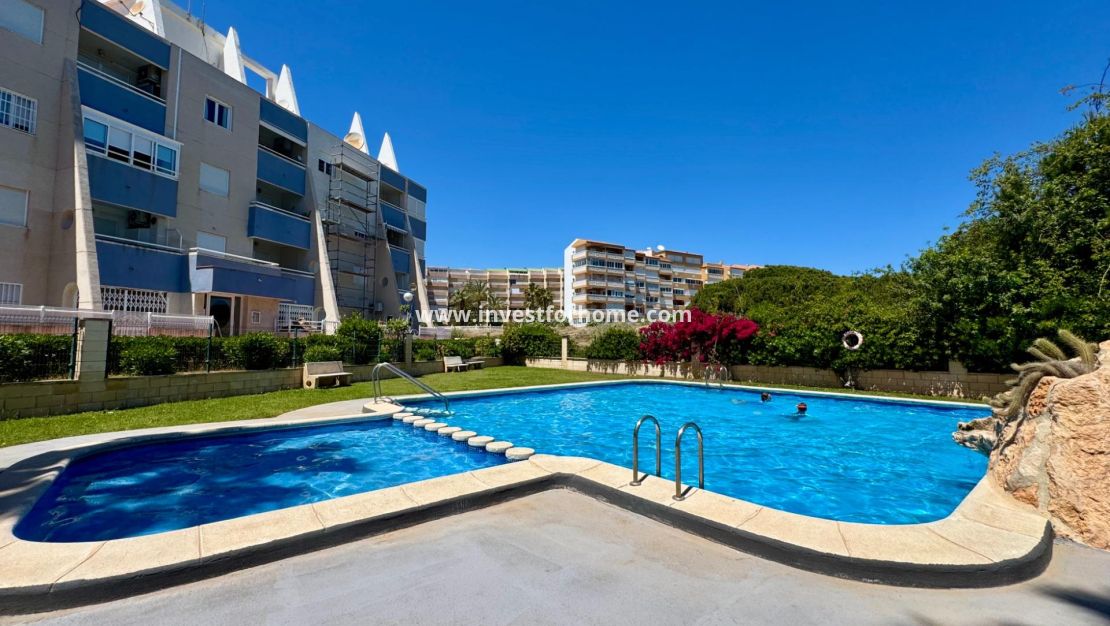 Verkoop - Appartement - Torrevieja - Gaspar Perrelló