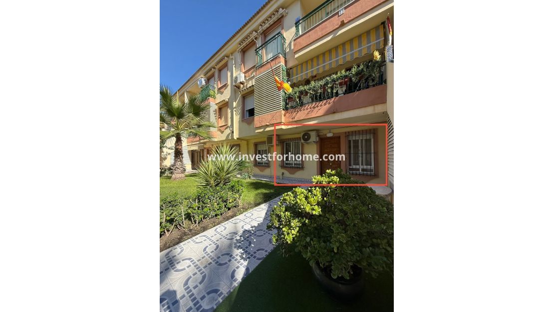 Verkoop - Appartement - Torrevieja - La veleta