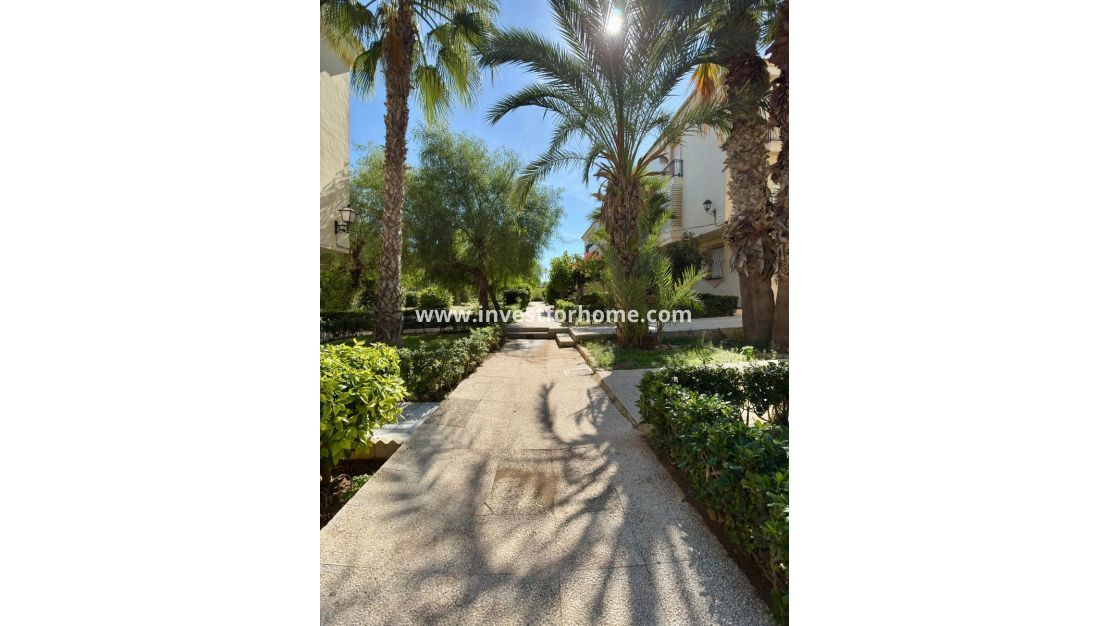 Verkoop - Appartement - Torrevieja - La veleta