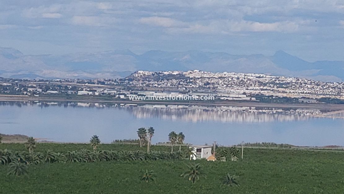 Verkoop - Appartement - Torrevieja - Los Balcones
