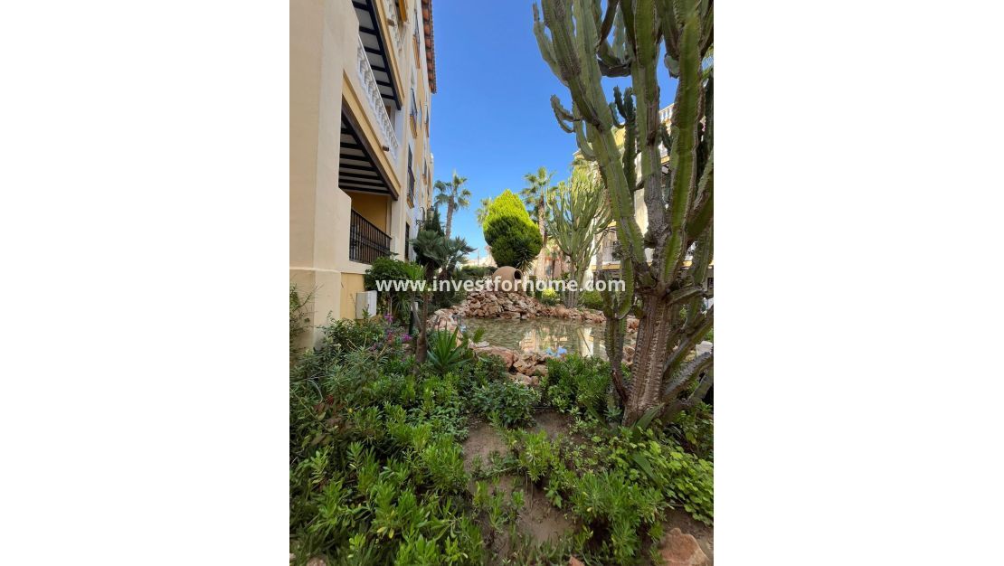 Verkoop - Appartement - Torrevieja - Nueva Torrevieja - Aguas Nuevas