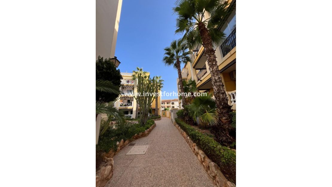 Verkoop - Appartement - Torrevieja - Nueva Torrevieja - Aguas Nuevas