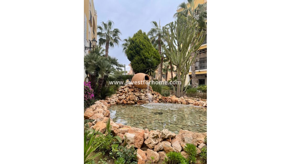 Verkoop - Appartement - Torrevieja - Nueva Torrevieja - Aguas Nuevas